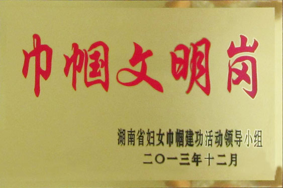 2014年手术室护理组获得“湖南省巾帼文明岗”称号